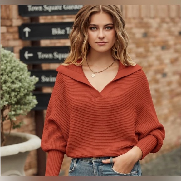 Sweater / V Neck Collared Batwing Knit Sweater - Picture 2 of 8